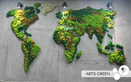 Стабилизированный мох карта мира