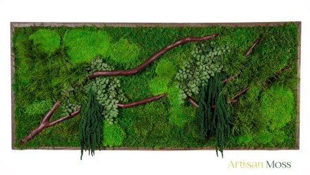 Фитокартина из стабилизированного мха