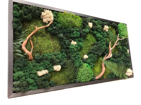 Стабилизированный мох панно