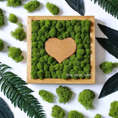 Фитокартина из стабилизированного мха