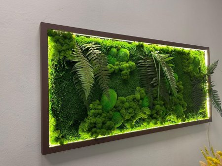 Фитокартины из стабилизированного мха
