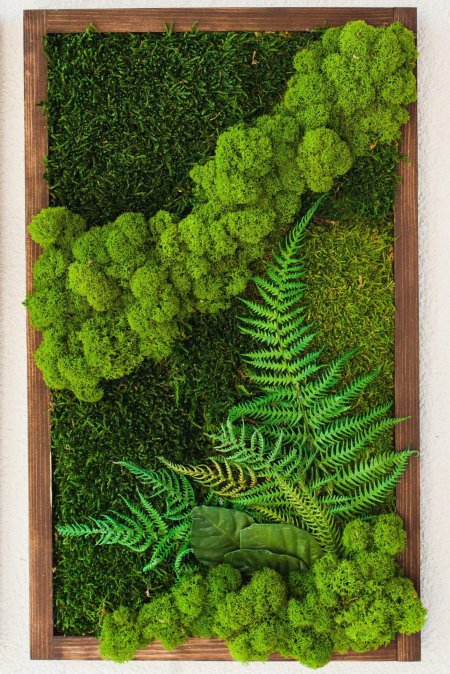 Панно из стабилизированного мха