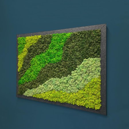 Стабилизированный мох