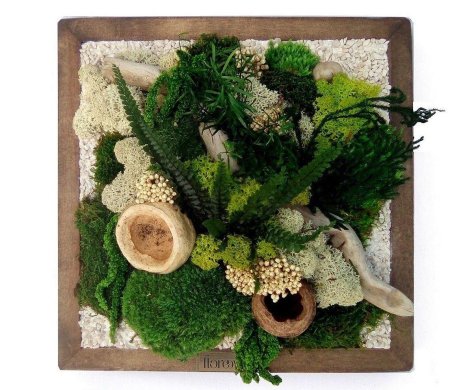 Фитокартина из стабилизированного мха