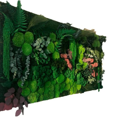 Фитостена из стабилизированного мха