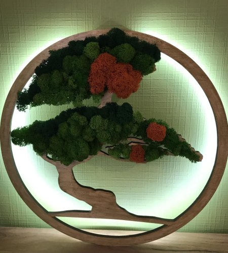 Панно из стабилизированного мха