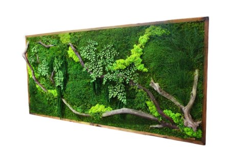 Фитокартина из стабилизированного мха