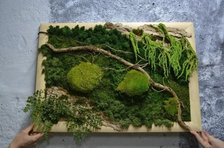 Фитокартина из стабилизированного мха
