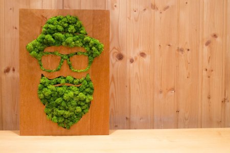 Панно из стабилизированного мха