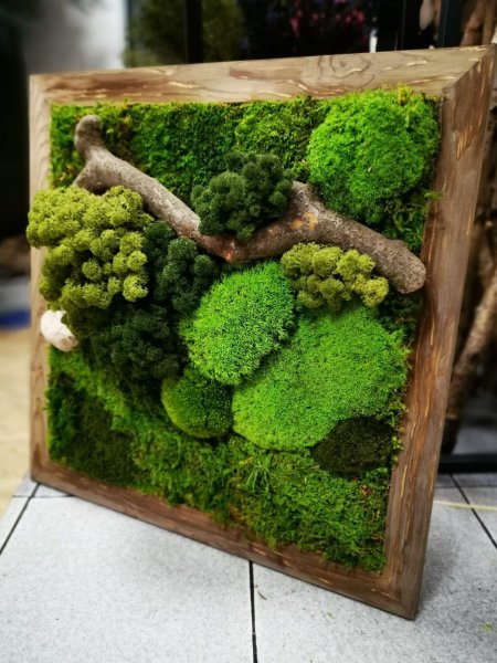 Moss green / мох стабилизированный