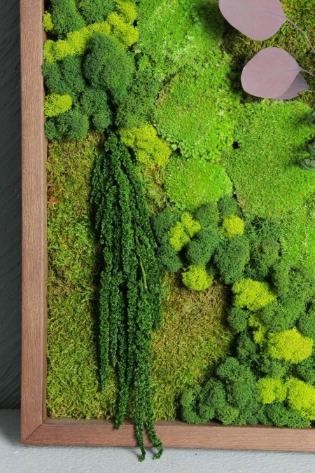 Панно из мха