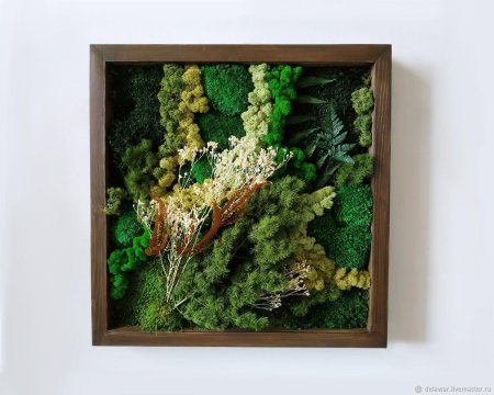 Стабилизированный мох панно
