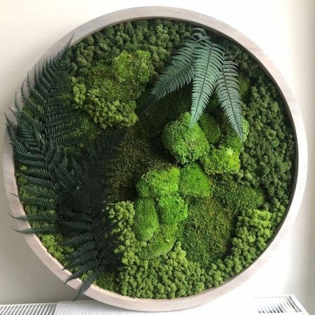 Круглое панно из мха