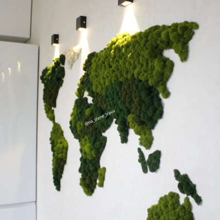 Стабилизированный мох на стене