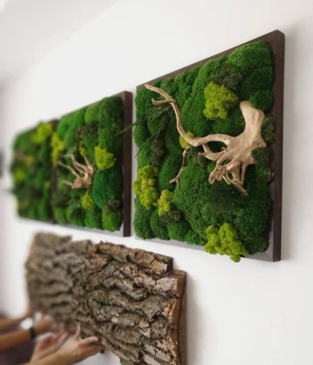 Фитокартина из стабилизированного мха