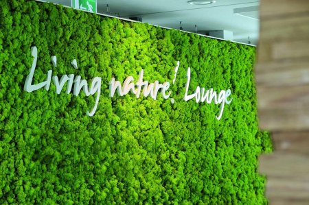 Фитостена из стабилизированного мха и растений