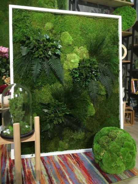 Стабилизированные растения