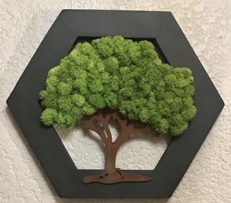 Дерево из стабилизированного мха