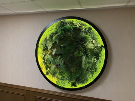 Панно из мха с подсветкой