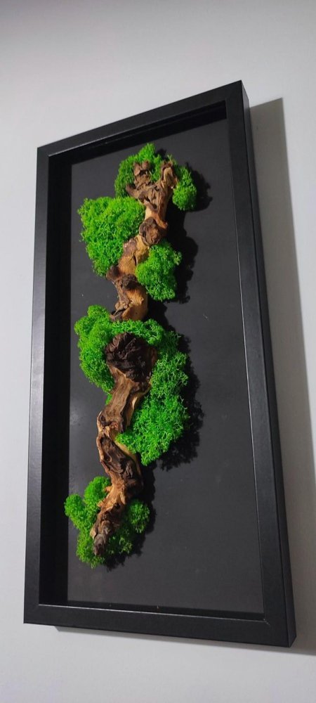 Картины из стабилизированного мха