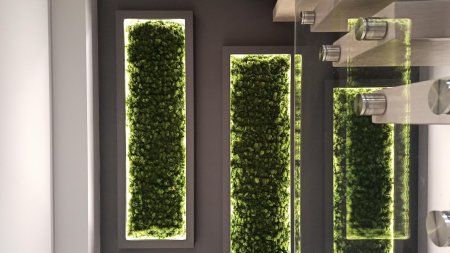 Стабилизированный мох