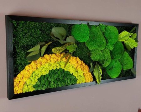 Фитокартина из мха