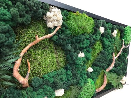 Стабилизированный мох фитокартина