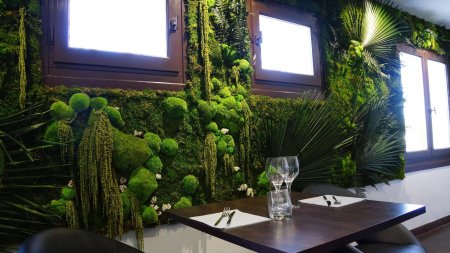 Фитостена мох стабилизированный