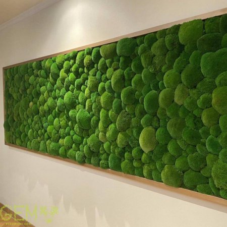 Стабилизированный мох