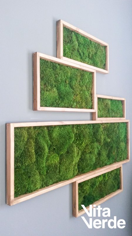 Панно из мха