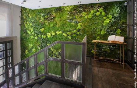 Стабилизированный мох в интерьере