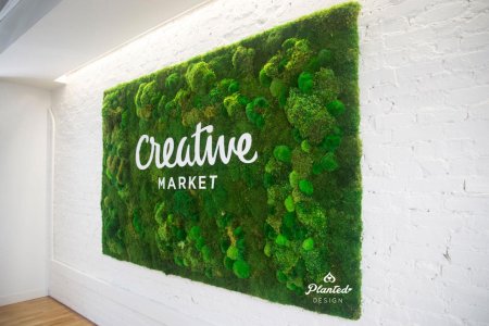 Стабилизированный мох на стене