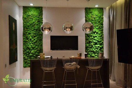 Фитостена ягель