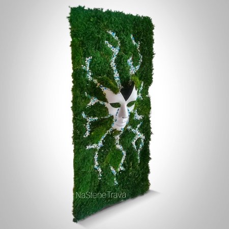 Мох стабилизированный