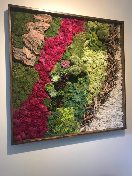 Панно из стабилизированно мха gardengo в рамке