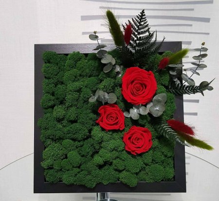 Стабилизированные растения