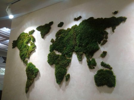 Стабилизированный мох на стене