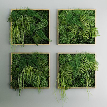 Стабилизированный мох панно