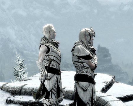 Фалмеры снежные эльфы