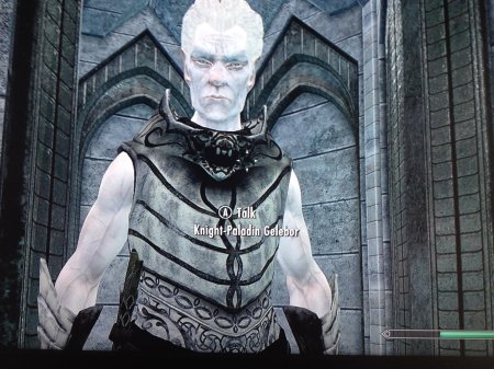 Снежный эльф фалмер