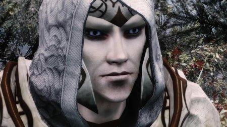 Снежный эльф лестер