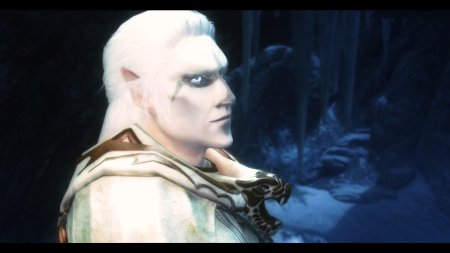 Фалмеры снежные эльфы