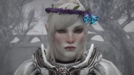 Скайрим компаньон снежный эльф