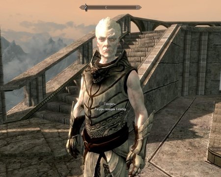 Снежный эльф фалмер