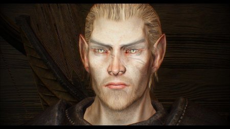 Высокий эльф скайрим