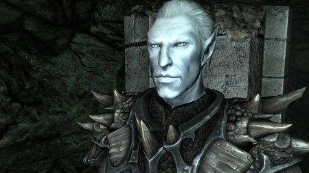 Скайрим компаньон данмер