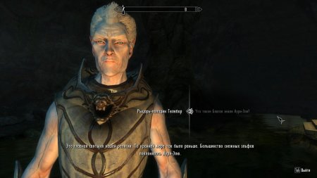 Эльф скайрим