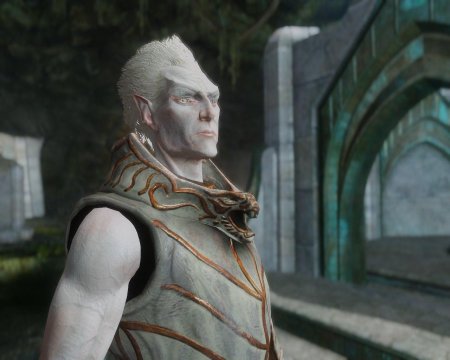 Снежный эльф фалмер