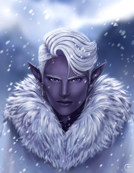 Снежные эльфы скайрим