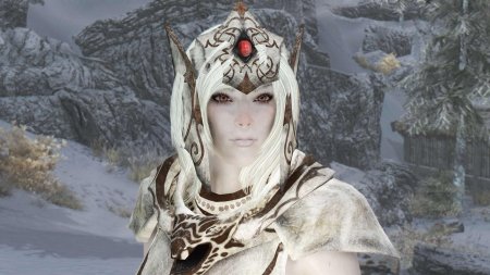 Скайрим компаньон снежный эльф